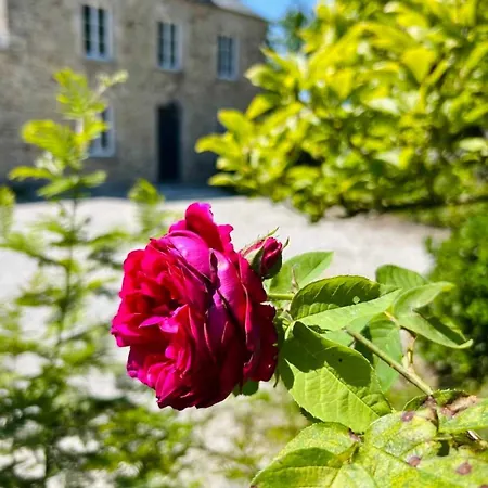 Le Clos Du Gallion An Authentic Haven Of Peace *