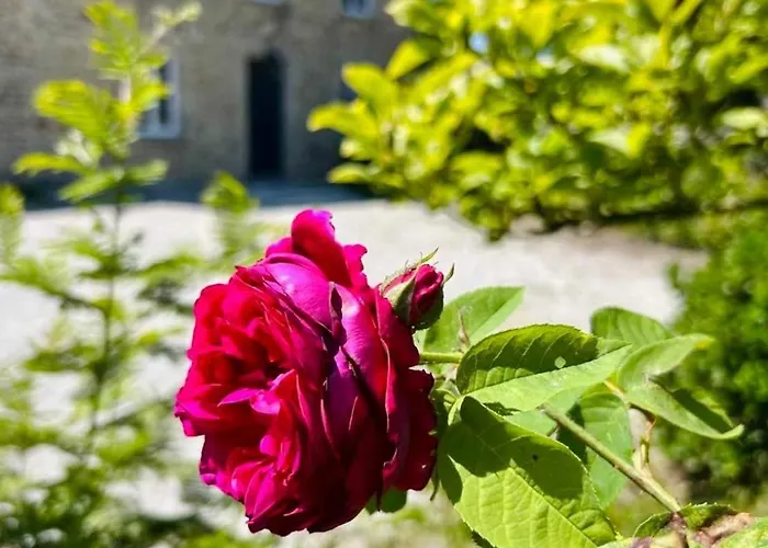 Le Clos Du Gallion An Authentic Haven Of Peace *